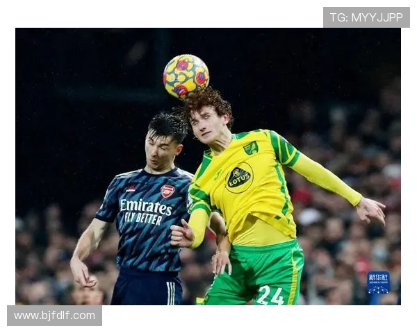 诺维奇俱乐部新赛季阵容调整深度解析目标冲击英超重返顶级联赛 诺维奇俱乐部新赛季阵容调整深度解析目标冲击英超重返顶级联赛