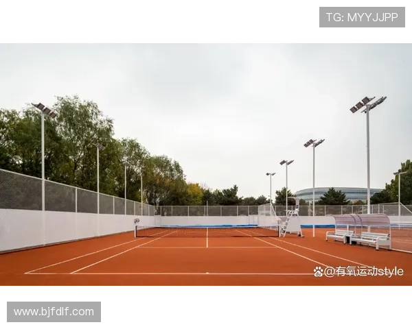 网球场地大比拼红土硬地草地三者差异全面解析