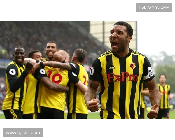 沃特福德足球俱乐部的历史、发展与未来展望分析